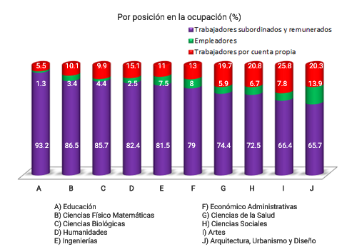 Porcentaje por posición en la ocupación