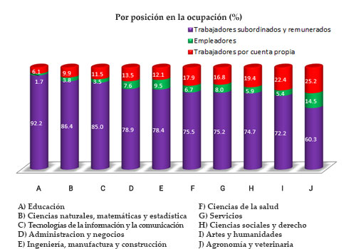 Porcentaje por posición en la ocupación