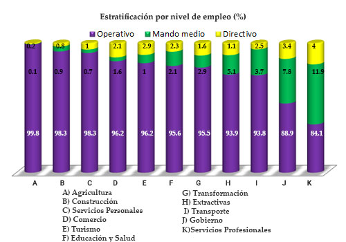 Estratificación por nivel de empleo (%)