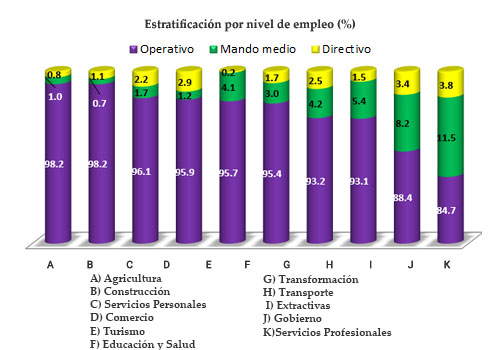 Estratificación por nivel de empleo (%)