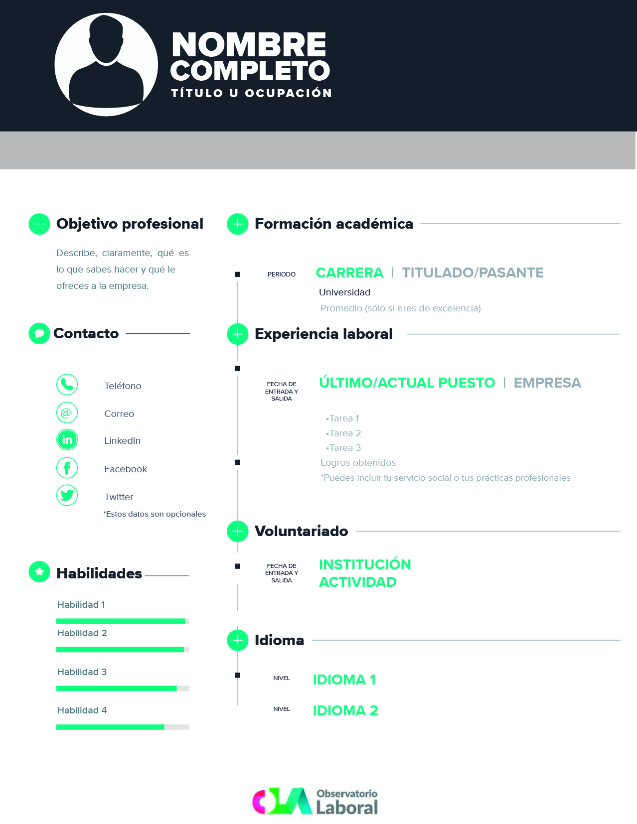 Ejemplo de CV con diseño original